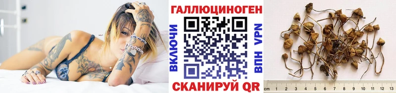 Галлюциногенные грибы Psilocybe  Моршанск 