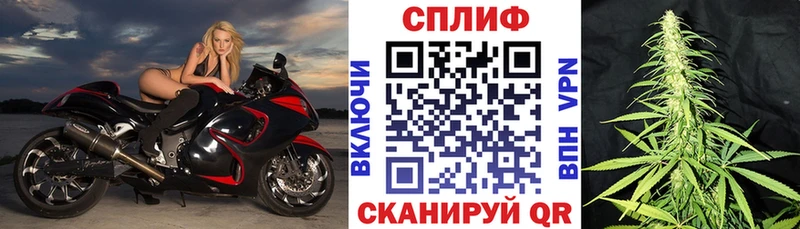 Конопля марихуана  Моршанск 